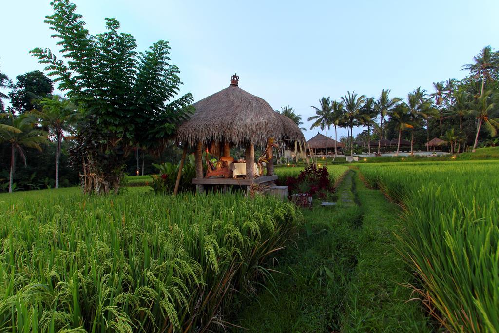 Mathis Retreat Ubud Kültér fotó